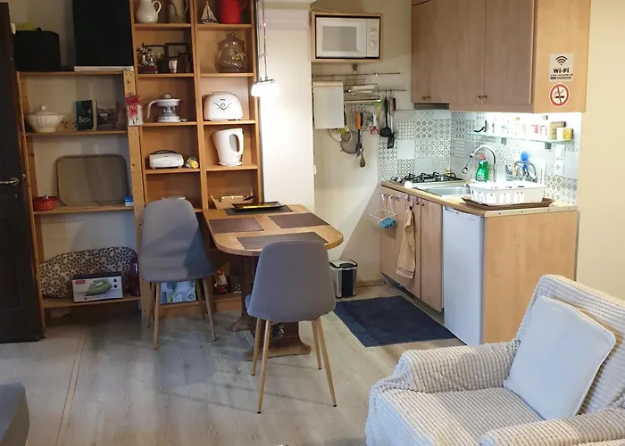 Unique View Apartment